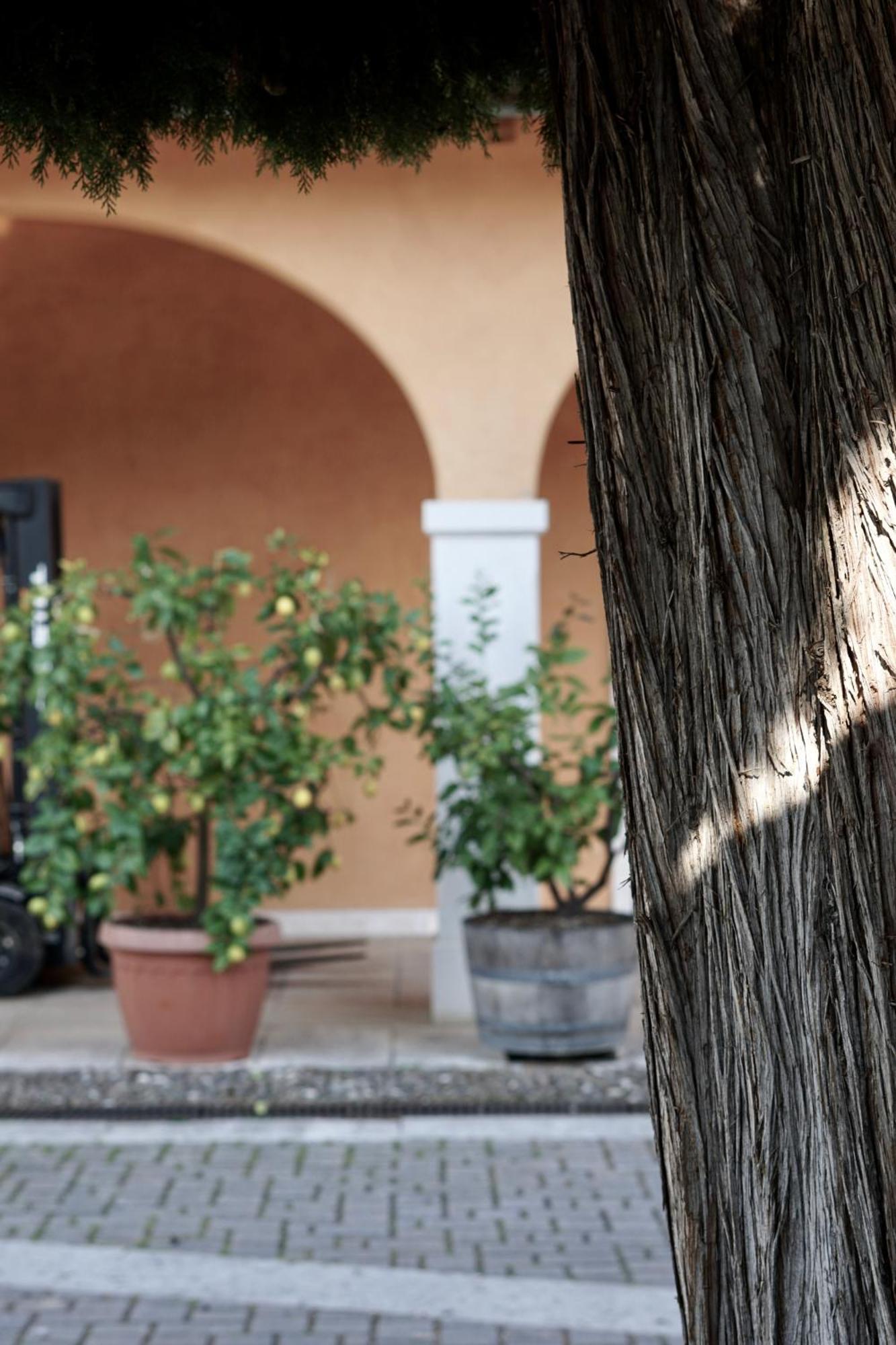 Agriturismo Valentina Cubi Fumane Dış mekan fotoğraf