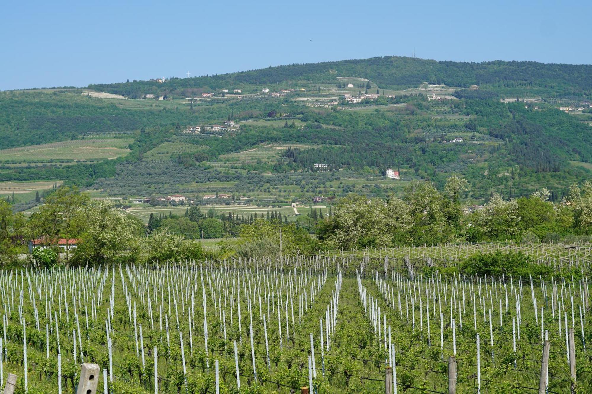 Agriturismo Valentina Cubi Fumane Dış mekan fotoğraf